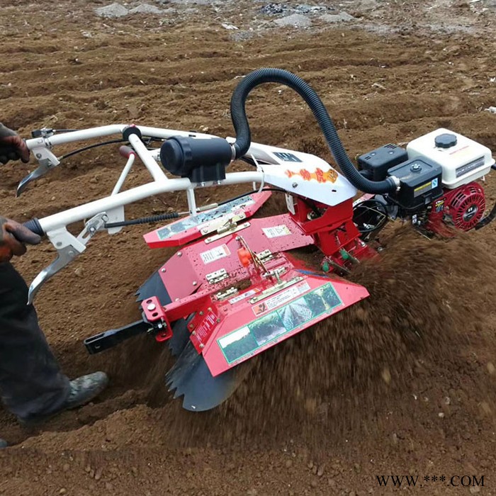 山药松土机 柴油多功能旋耕机 小型耕地机 手扶犁地打田旋耕机图6