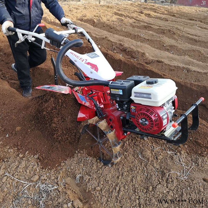 山药松土机 柴油多功能旋耕机 小型耕地机 手扶犁地打田旋耕机图4