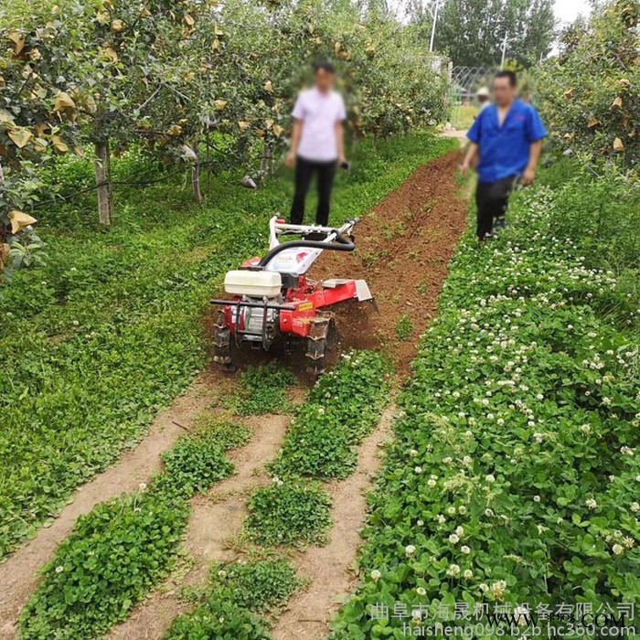 山药松土机 柴油多功能旋耕机 小型耕地机 手扶犁地打田旋耕机图8