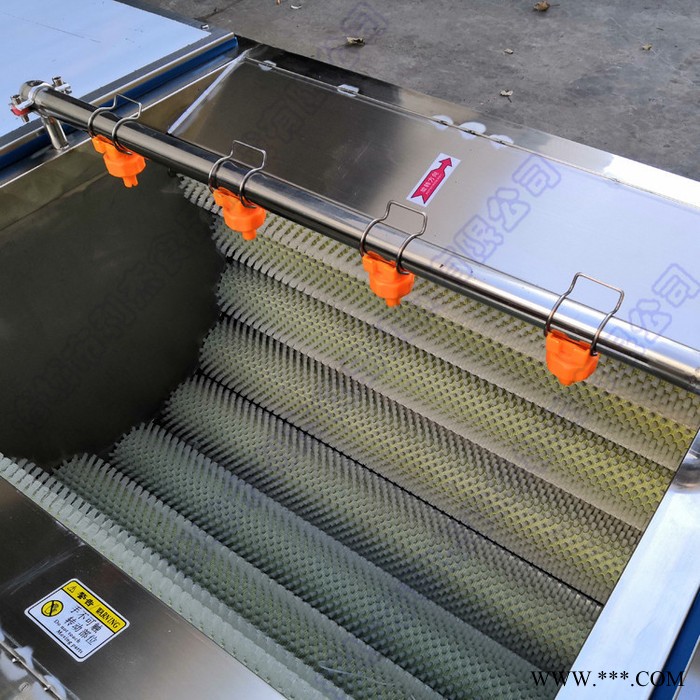 胡萝卜清洗机 土豆毛刷脱皮机 山药清洗去泥机器图2