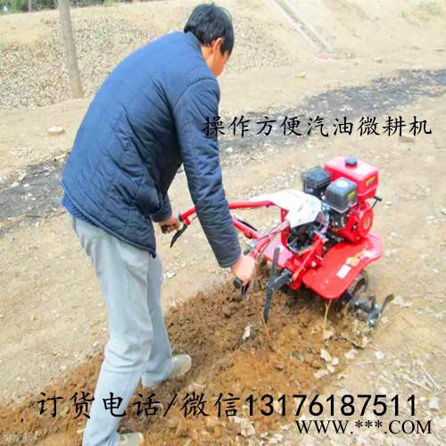 茶园松土旋耕机温室大棚微耕机 山药种植开沟培土机HQ图5