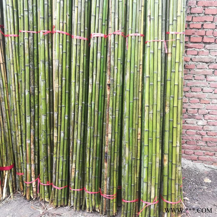 亿豪 出售竹制烤竿 菜价竹批发 苗木烤竿 菜架 山药架杆 烤竿图4