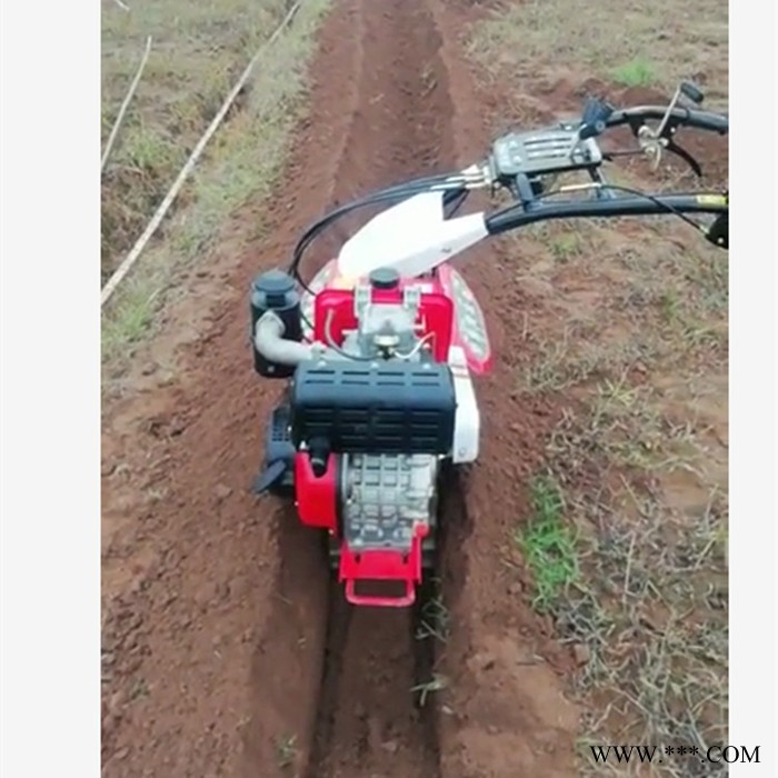 山药旋耕培土机 手扶大棚萝卜开沟机 甘蔗培土开沟机图7