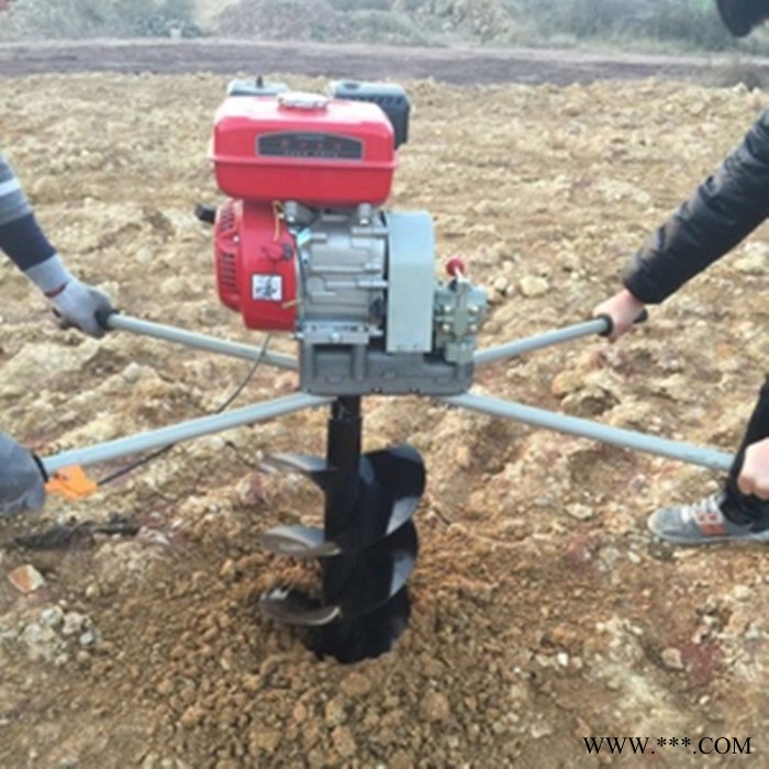 池州山药种植打眼机 果园种植挖坑机 D汽油打洞挖坑机图4