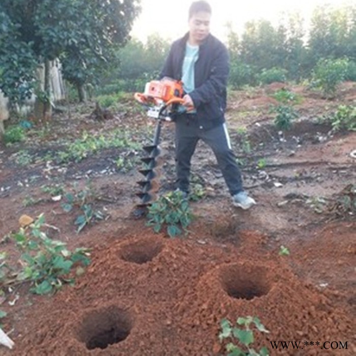池州山药种植打眼机 果园种植挖坑机 D汽油打洞挖坑机图6