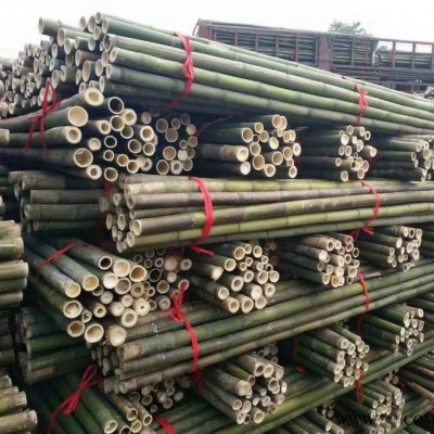 鹏翔竹尾、竹制品批发 竹竿 山药架竿 规格不一 价格不同