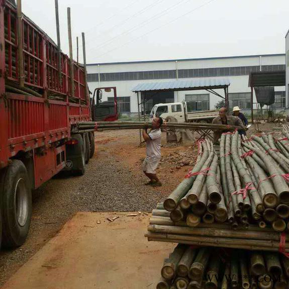 鹏翔竹尾、竹制品批发 竹竿 山药架竿 规格不一 价格不同图7