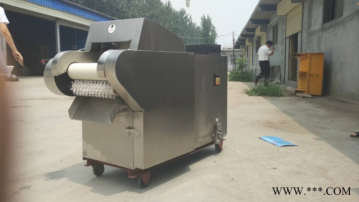 长度可调 河北铁棍山药切片机 贵州萝卜切丁机新鲜竹笋切片机图2