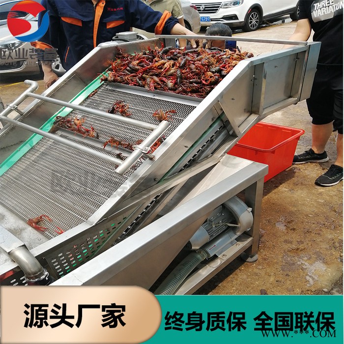 定做果蔬清洗机-高压喷淋式果蔬清洗机-土豆胡罗卜山药中药材清洗机图2