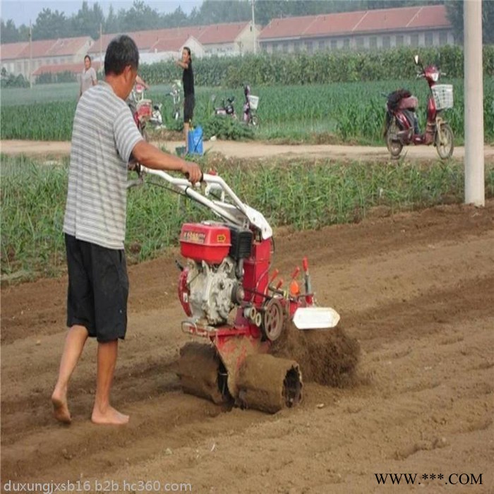 多功能柴油旋耕机图片 手扶种植黄姜开沟起垄机 山药开沟机厂家图8