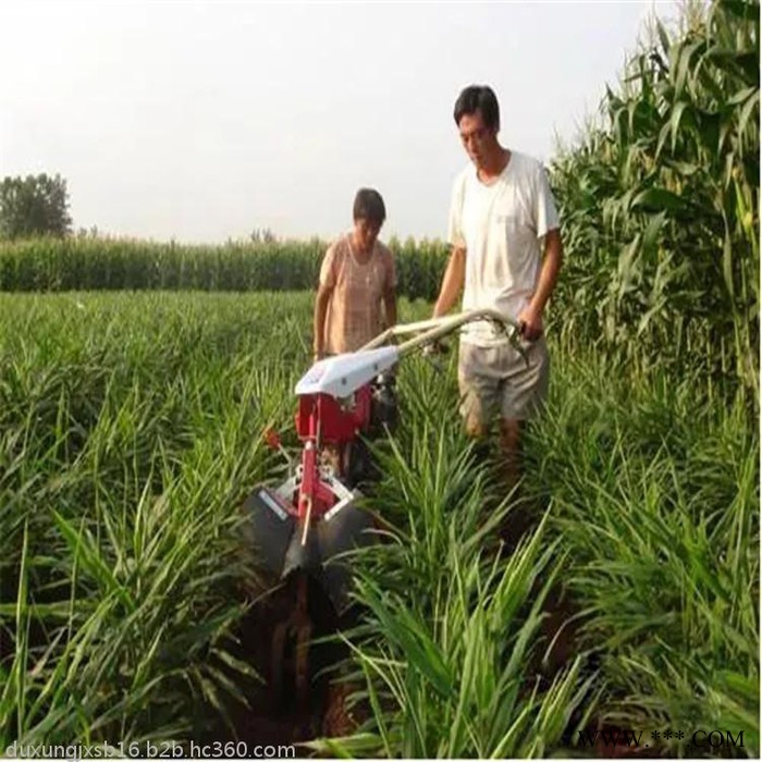 多功能柴油旋耕机图片 手扶种植黄姜开沟起垄机 山药开沟机厂家图3