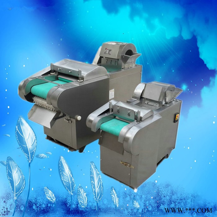 山东厂家供应莲藕切片机 山药切片机  普航地瓜切片机图7