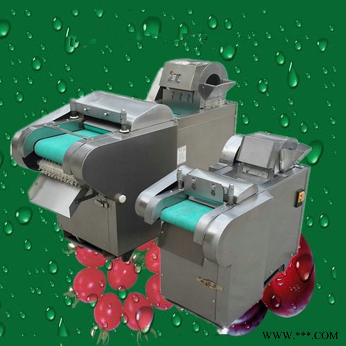 山东厂家供应莲藕切片机 山药切片机  普航地瓜切片机图4