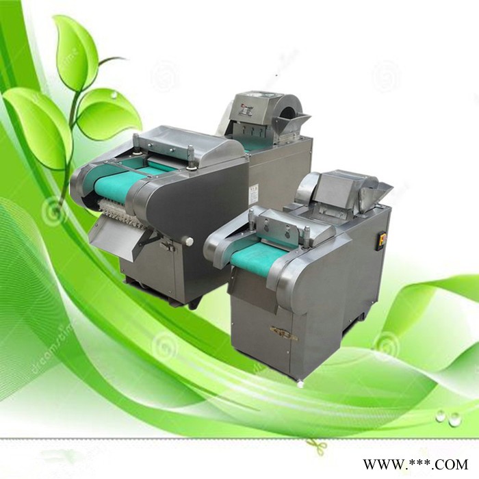 山东厂家供应莲藕切片机 山药切片机  普航地瓜切片机图8