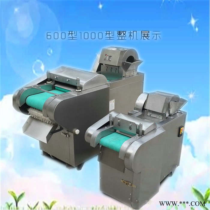 山东厂家供应莲藕切片机 山药切片机  普航地瓜切片机图3