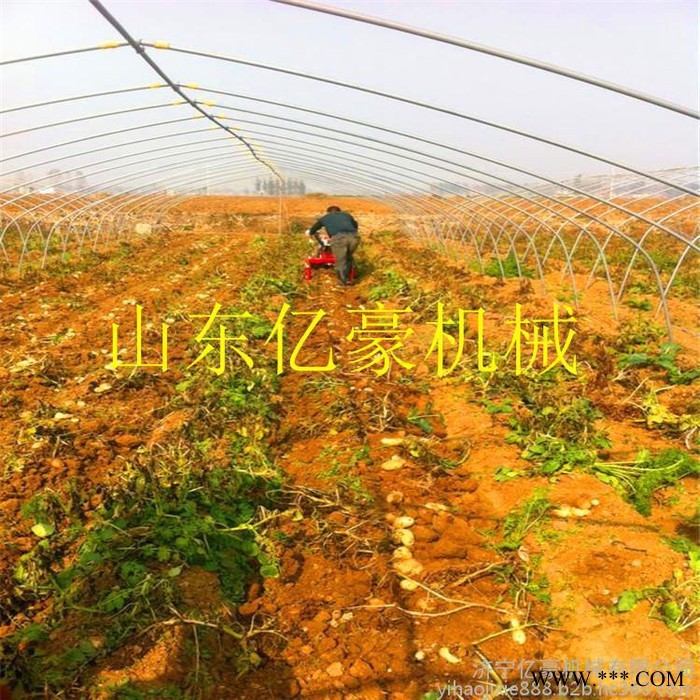 合肥亿豪牌 三点悬挂链条传动多功能药材收获机 山药收获机图2