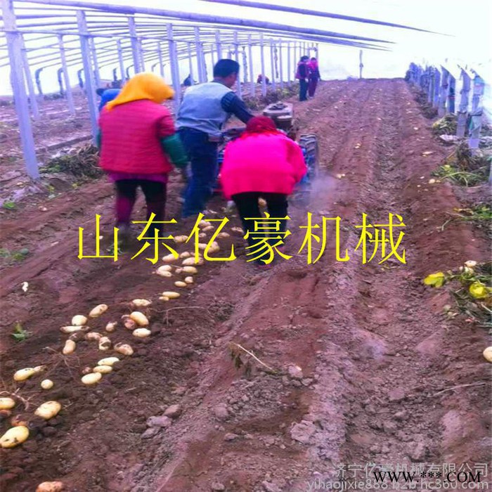 合肥亿豪牌 三点悬挂链条传动多功能药材收获机 山药收获机图8