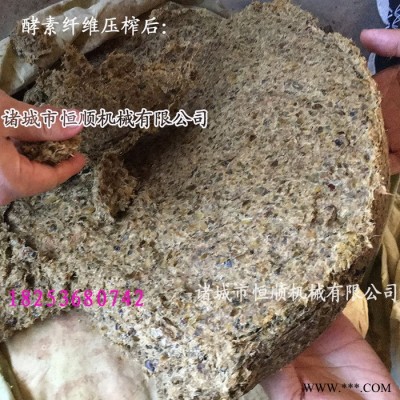 山药 、黄芪、山参混合果蔬发酵物压榨机 梨汁、枇杷汁、柠檬汁压滤机