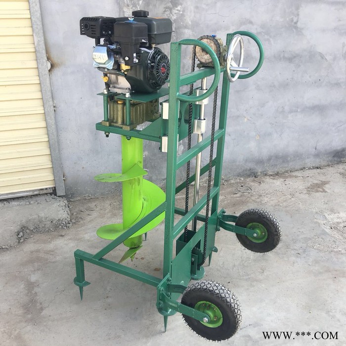 山药牛蒡种植钻眼打洞机 法库县大棚埋桩打孔机 新款汽油挖坑机图2