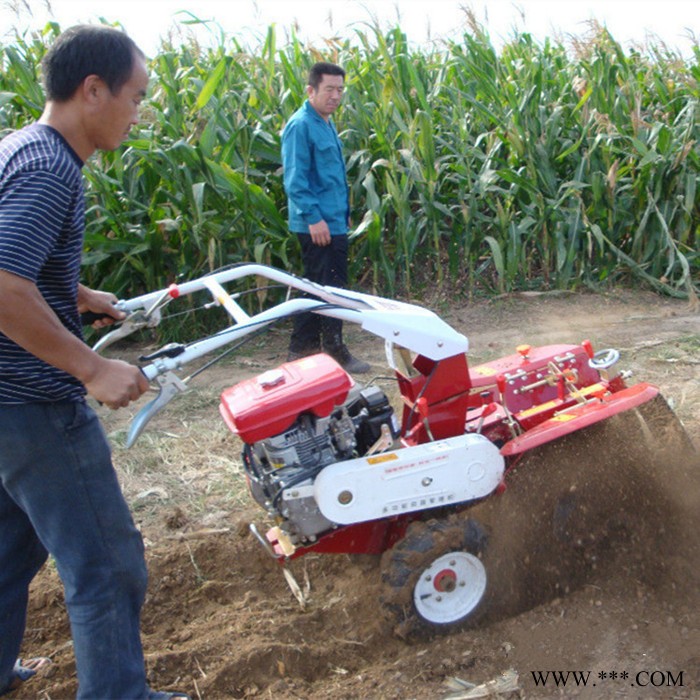 供应田园管理机 山药种植田园管理机 开沟培土起垄一体田园管理机图7