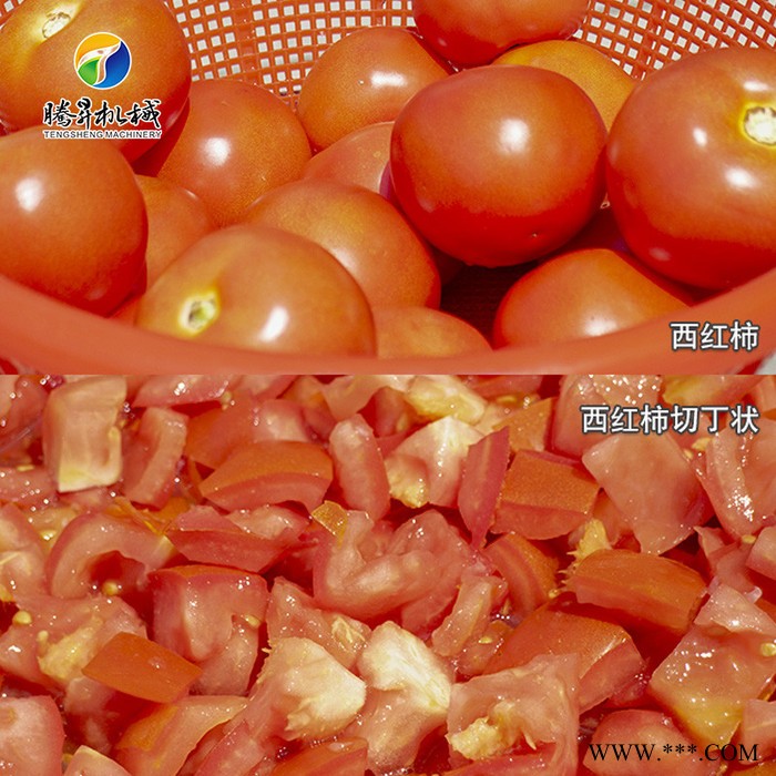 腾昇直销多功能切菜机 台湾进口山药切片机 洋葱切丁机械质量保证 酒店设图4