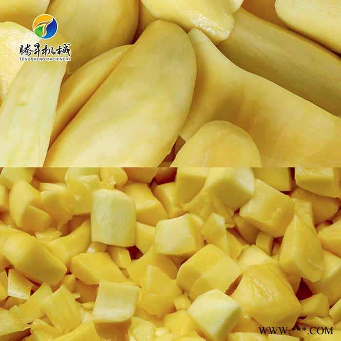 腾昇直销多功能切菜机 台湾进口山药切片机 洋葱切丁机械质量保证 酒店设图3