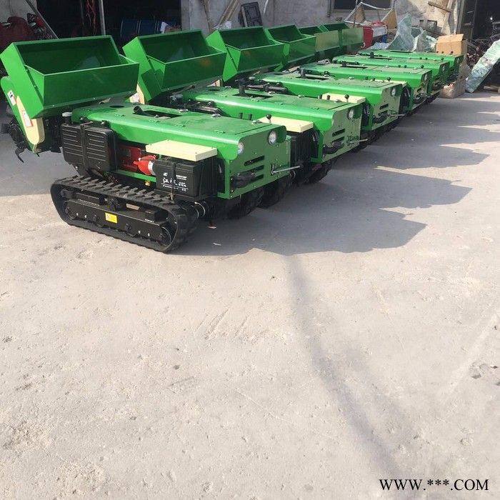 1山药开沟施肥机 金佳履带式田园管理机 履带式开沟施肥机图8