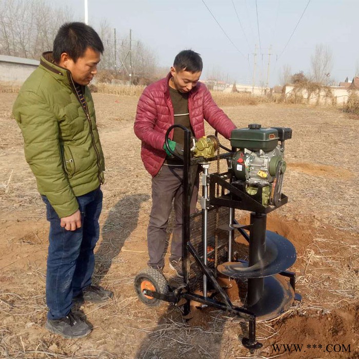 普航葡萄施肥立柱打眼机 大马力钻眼机厂家 山药牛蒡打孔种植挖坑机图2
