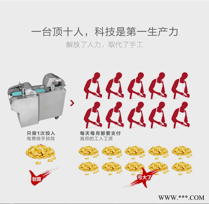 启硕机械腐竹竹笋宽粉切段机 山药黄瓜丝瓜切片机 红菜头人参果切片机图7