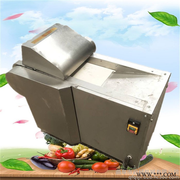 启硕机械腐竹竹笋宽粉切段机 山药黄瓜丝瓜切片机 红菜头人参果切片机图8