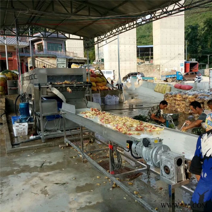 义康牌PL-5000型 山药去泥清洗设备 梨子高压喷淋机 李子清洗流水线图8