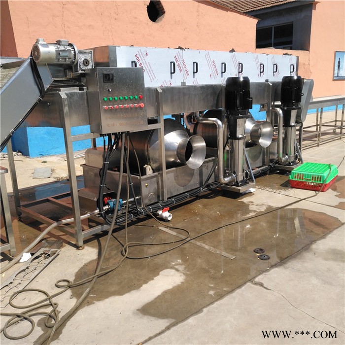 义康牌PL-5000型 山药去泥清洗设备 梨子高压喷淋机 李子清洗流水线图5