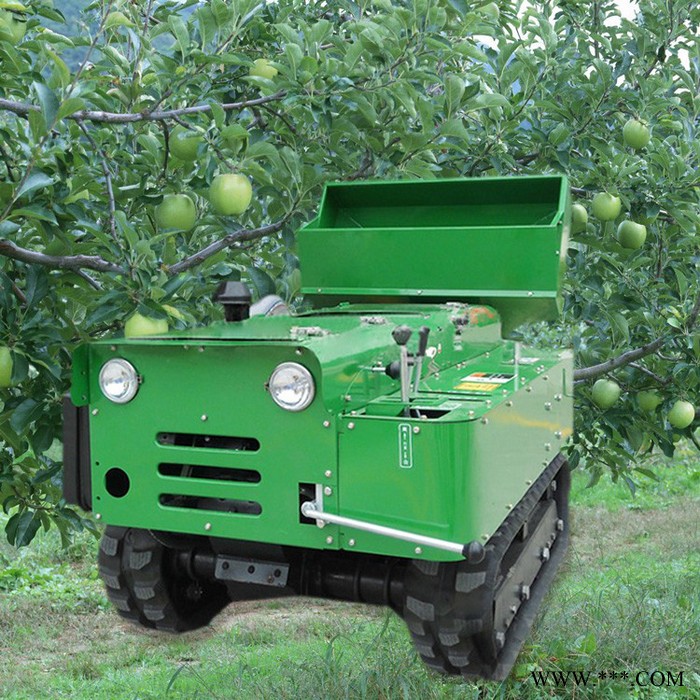 普航PH-LD小型柴油履带式开沟机 农用山药葡萄开沟施肥机 回填施肥机厂家图3