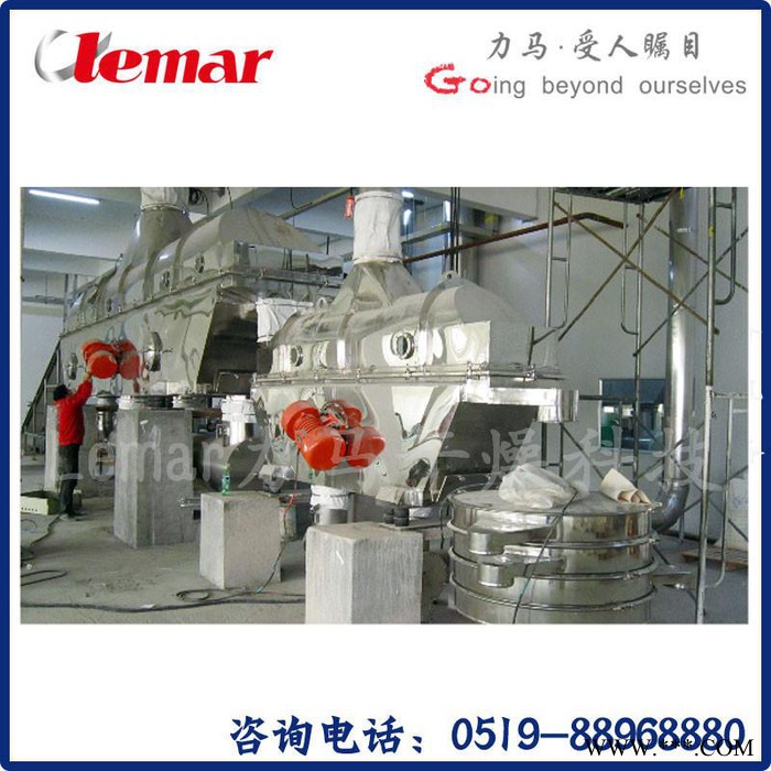 常州力马-枸杞山药粉固体饮料生产线、ZLG-6×0.9振动式流化床干燥设备生产厂家图5