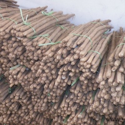 山药 小白嘴麻山药 小白嘴白山药  滋补养生 祛斑美颜