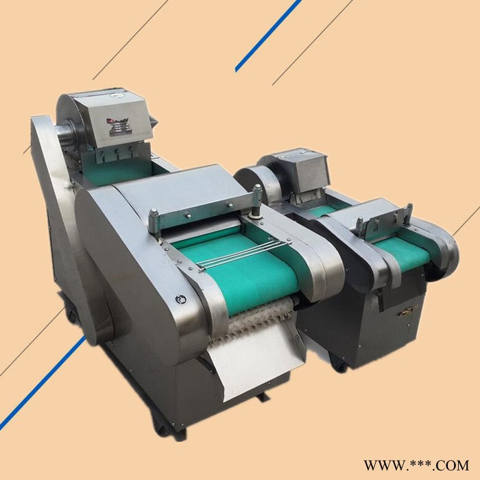 多功能切片机淮山药切片机 不锈钢自动切葱机 莲藕切片机 辣椒圈切菜机图8