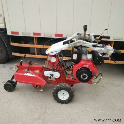 普航PH-KG手扶葡萄山药开沟机 多功能大马力柴油旋耕机 大动力黄姜种植开沟机