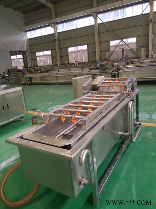 山药清洗机/山药清洗机价格图4