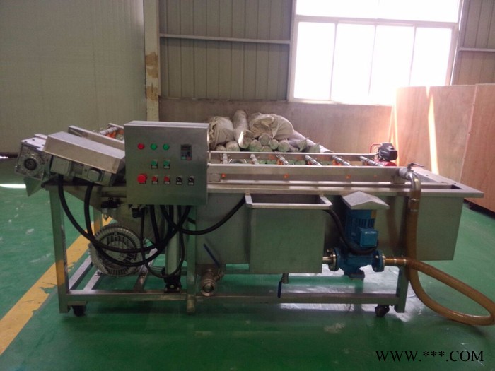 山药清洗机/山药清洗机价格图3