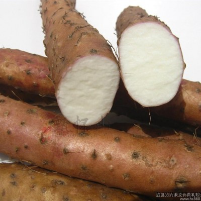 焦作温县**甄怀山铁棍山药，怀/淮铁棍山药，铁棍怀/淮山药