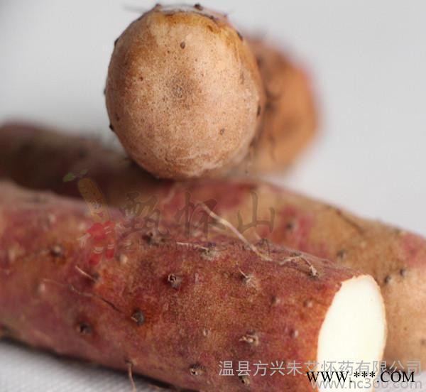 送礼品 就送铁棍山药 送的是健康 河南铁棍/铁杆山药图2