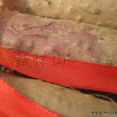 新鲜河南焦作温县铁棍山药 的铁棍山药 产地直销 价格优惠