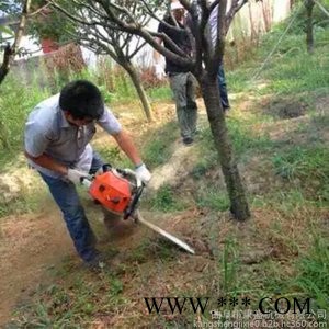 沈阳 **螺旋打桩施肥机 大马力四冲程地钻挖坑机 山药火龙果种植机图2