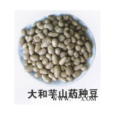 供应山药苗山药种