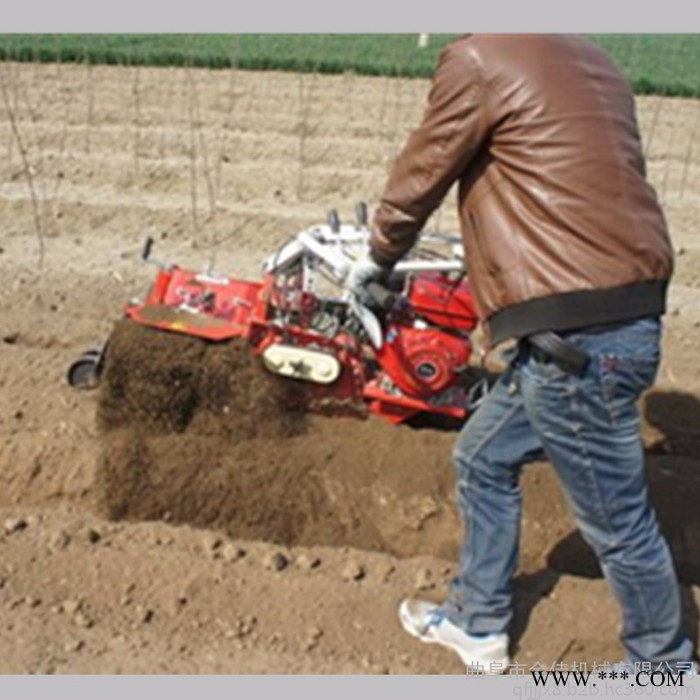 金佳机械JJ-KG山药开沟培土机 种植大姜大葱开沟培土机 菜地开沟施肥培土机图4