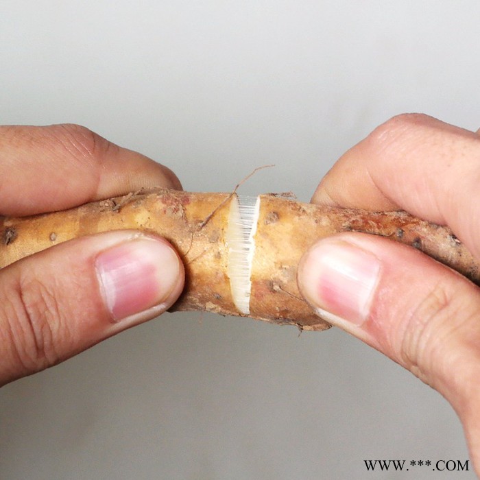 怀臻 山药厂家焦作正宗山药礼盒新鲜农家温县垆土地铁棍山药怀山药图2