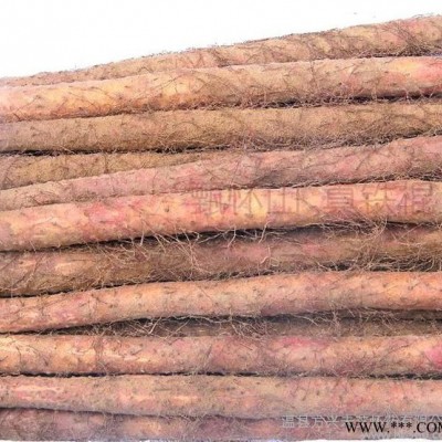 铁棍山药产地河南焦作温县农产品土特产酒店专用铁棍怀山药