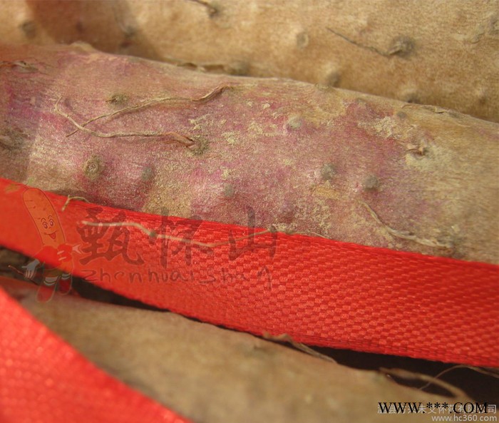 铁棍山药产地河南焦作温县农产品土特产酒店专用铁棍怀山药图2