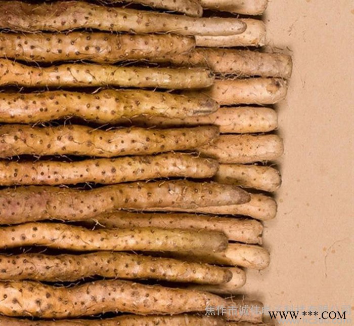 河南特产正宗铁棍山药 焦作铁杆怀淮山药 **散装图2