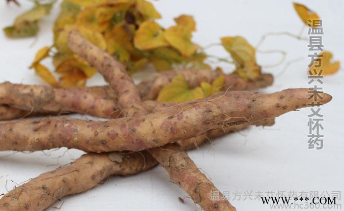 cctv推荐产品——温县**垆土铁棍山药丑山药50cm 产地图2